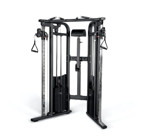 Binom Doppel-Seilzug 200 kg Professional + verstellbare Lordosenstütze
